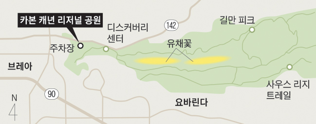 지도.jpg