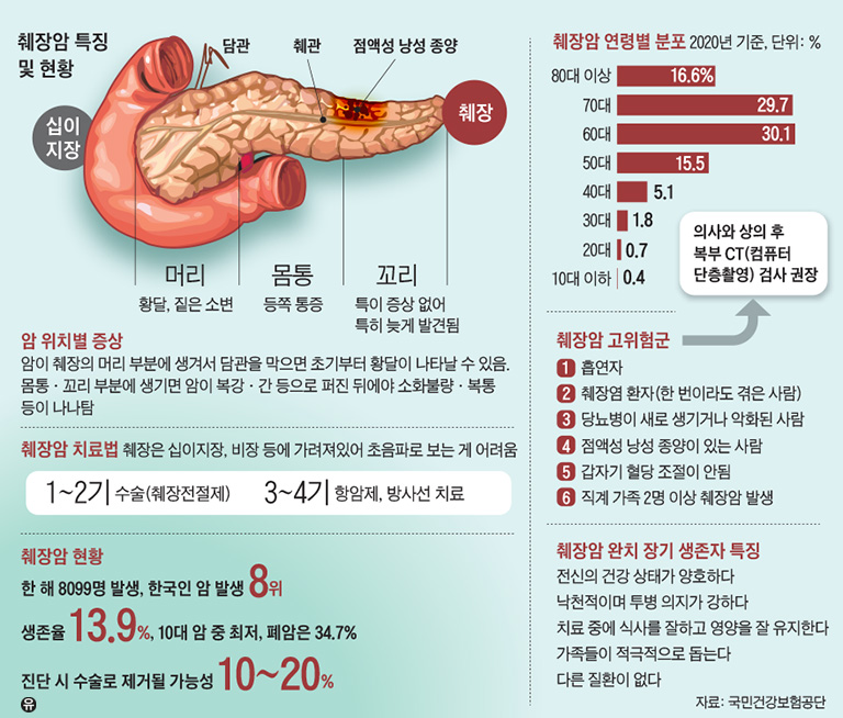 췌장.jpg