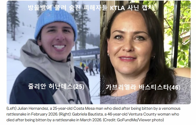 Screenshot 2026-04-22 205023.jpg