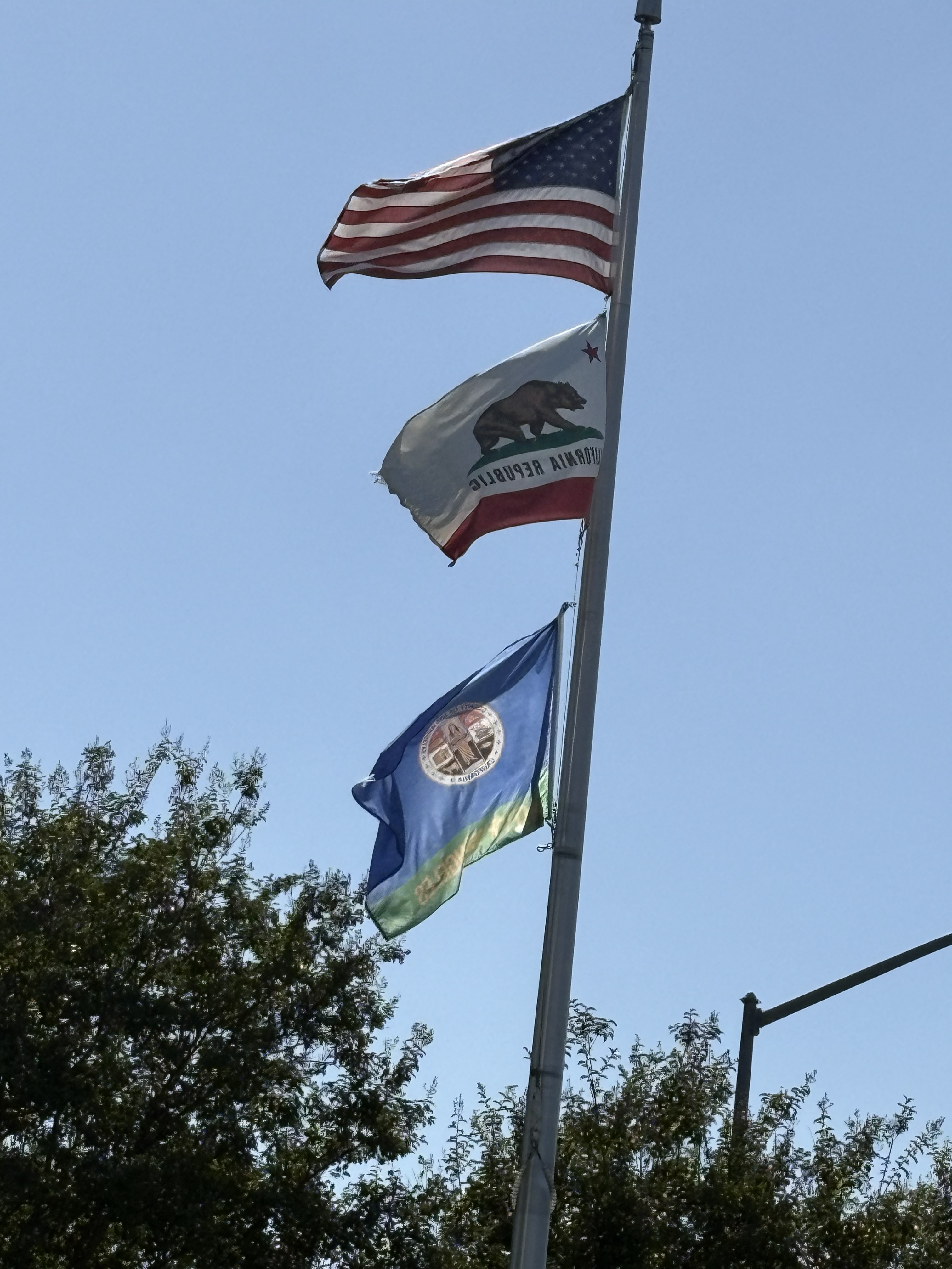 IMG_7416.jpg