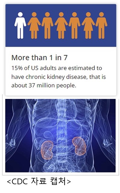 kidney 1.jpg